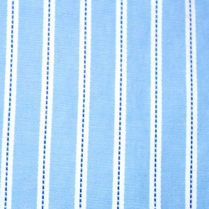 blue stripe closeup